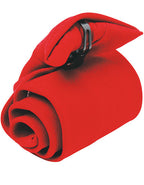 Clip-on Tie (PW710)