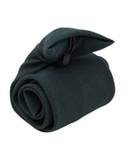 Clip-on Tie (PW710)