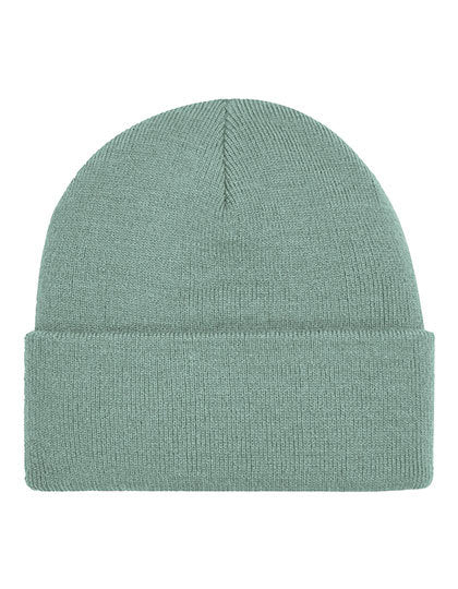 Original Cuffed Beanie (CB45)