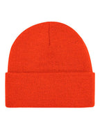 Original Cuffed Beanie (CB45)