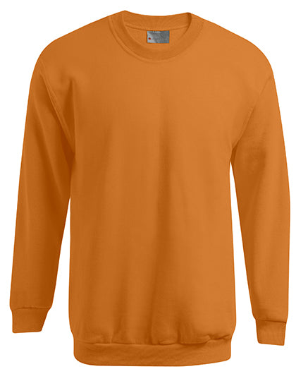 Men´s New Sweater 100 (E5099N)