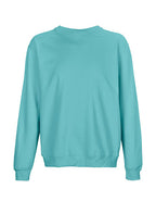 Unisex Columbia Crew Neck Sweatshirt (L03814)
