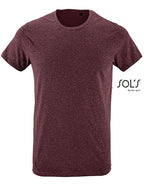 Regent Fit T-Shirt (L149)